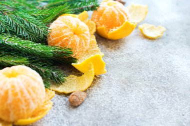 Mandalina ve yeşil çam ağacı dalları gri arka plan tatil dekorasyon Rus geleneği üzerinde Noel yılbaşı kompozisyonu