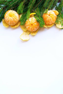 Mandalina ve yeşil çam ağacı dalları bir izole beyaz arka plan tatil dekorasyon Rus geleneği dikey biçimi üzerinde Noel yılbaşı kompozisyonu