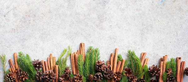 Sticks Cinnamon Fir Tree Branches Pine Cones Row Christmas Background — Stock Photo, Image