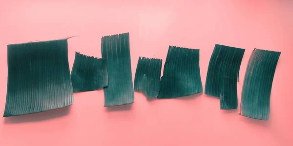 Пустые шаблоны для писем из зеленых тропических пальм — стоковое фото