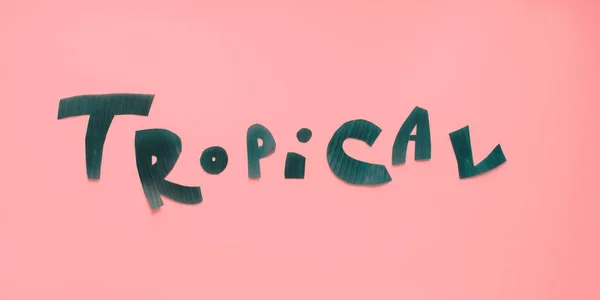 Word TROPICAL letters from green tropical leaves