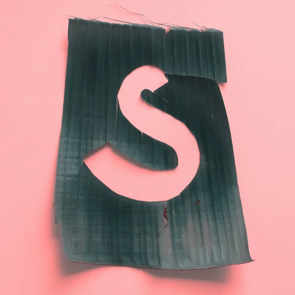 S bir mektup tropikal yaprak yeşil alfabe pembe — Stok fotoğraf