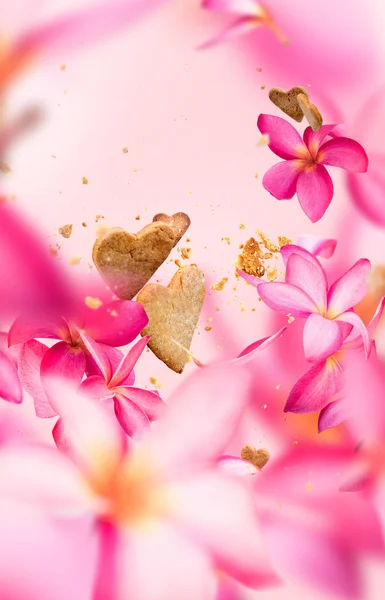 Ταχυδρομική κάρτα πετώντας πέταλα λουλουδιών πλουμέριας ροζ — Φωτογραφία Αρχείου