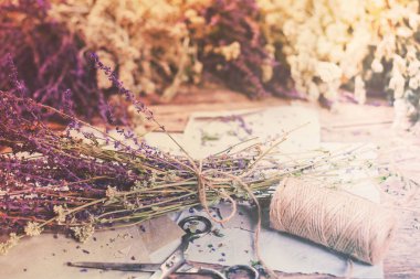 Kuru otlar adaçayı ısırgan civanperçemi nane farklı bir grup