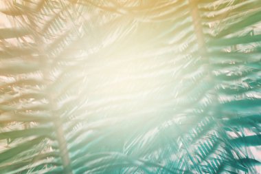 Doğal geometrik dekor sanat palmiye desen tonda