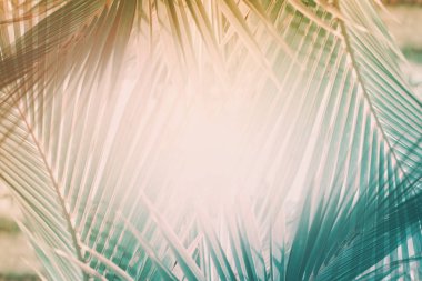 Doğal geometrik dekor sanat palmiye desen tonda