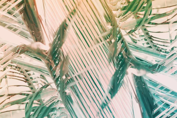 Natural geometrical decor art palm Pattern Toned — Stock Photo, Image
