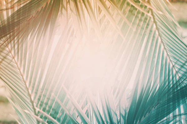 Természetes geometriai dekor art palm minta tónusú — Stock Fotó