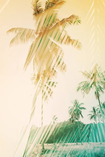 Тропічна ранкова сцена сонячне світло через фольклор — стокове фото