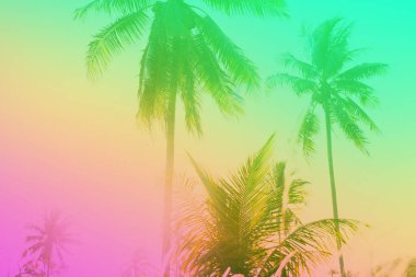 Tropikal sabah sahne güneşli bir folliage aracılığıyla