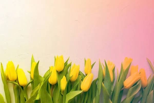 Žluté tulipány jarní květiny květinové pozadí umění — Stock fotografie