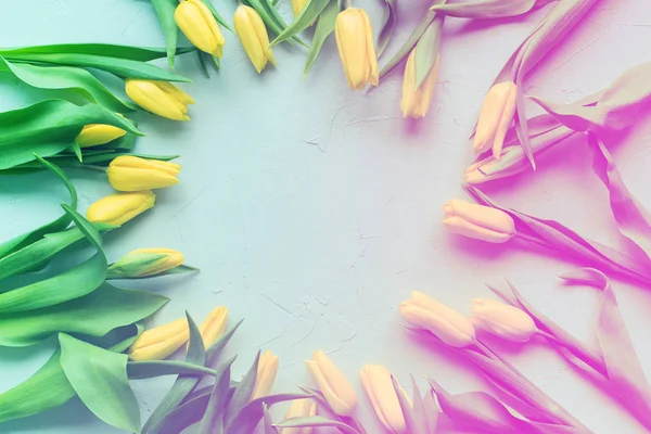 Kulatý rám žluté jarní tulipány umění květinové — Stock fotografie