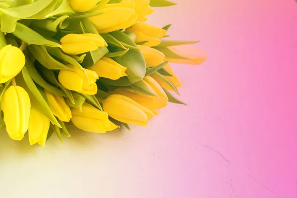 Yellow spring tulips Art floral background Flowers