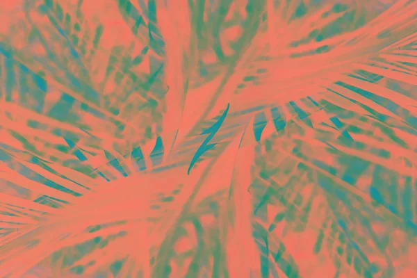 Abstraktní zelené trávě symetrie vzoru. Tropical — Stock fotografie