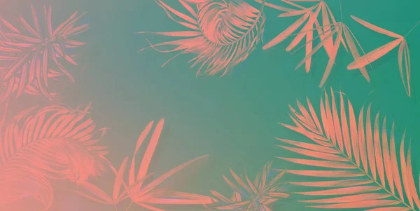 Tropische Kokosnussblätter Hintergrund flach legen oben — Stockfoto