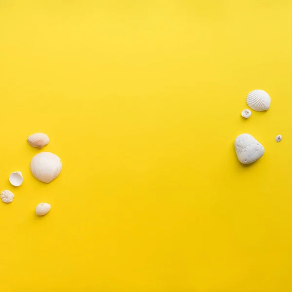 Białe muszle gorący sezon na żółtym tle. Z płaskim — Zdjęcie stockowe