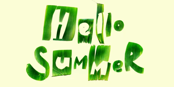 Frase HELLO SUMMER letras verde folhas tropicais — Fotografia de Stock