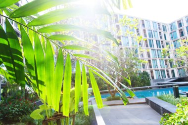 Yüzme havuzlu lüks apartman binası Tayland