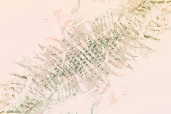 Φυσικό γεωμετρική διακόσμηση τέχνη palm μοτίβο τονισμένα — Φωτογραφία Αρχείου