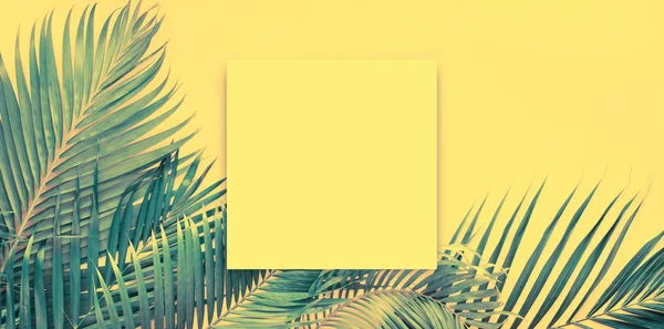 Papar white brochure mockup Fundo tropical — Fotografia de Stock