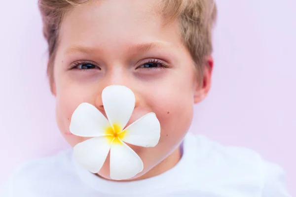 Menino segurando flor boca rosa fundo — Fotografia de Stock