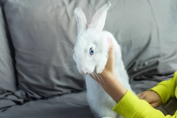 Niño feliz en chaqueta amarilla jugando conejo — Foto de Stock