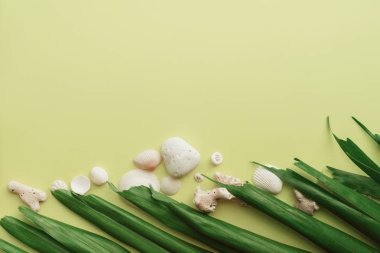 Yeşil muz yaprağı ve yeşil dokulu beyaz kabukları