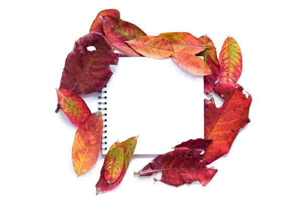 Cadre d'album blanc à partir de feuilles d'automne rouges — Photo