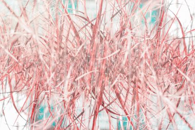 Doğal geometrik dekor sanat palmiye desen tonda