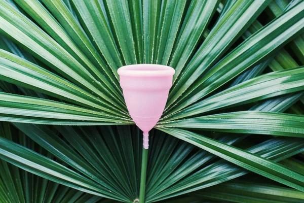 Pink menstrual cup on natural green palm leaves — Stock Photo, Image