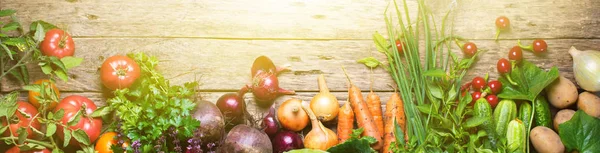 Surtido granja cruda línea de verduras orgánicas frescas — Foto de Stock