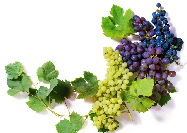 Ramos uvas verdes e azuis isoladas em branco Fotos De Bancos De Imagens