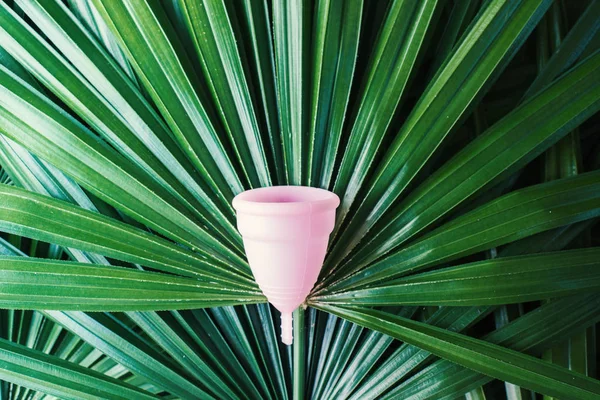 Women health concept zero waste Pink menstrual cup — Stock Photo, Image