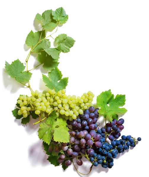 Ramos uvas verdes e azuis isoladas em branco Fotos De Bancos De Imagens Sem Royalties