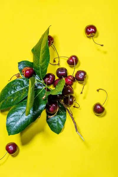 Branch Ripe Berries Sweet Cherry Leaves Yellow Background Raw Eating — Stock Photo, Image