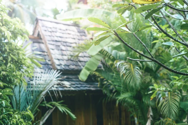 Tak Äkta Thailändskt Hus Med Naturliga Kakel Och Uteplats Efter — Stockfoto