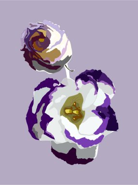 Vektör çiçek eustoma desen renk ön plan