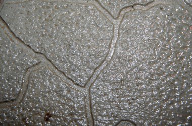 Yeşil karo döşemeler yağmur suyu ve parıltısıyla ıslanmış..