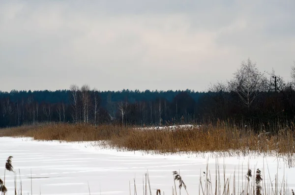 Zimowy Śnieg Las Krajobraz Rzeki Zachód Słońca Zima Las Widok — Zdjęcie stockowe