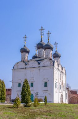 Aziz Nikolaos Katedrali. Zaraysk Kremlin. Ortodoks Kilisesi