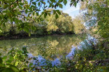 Moskova bölgesinin güneydoğusundaküçük bir nehrin sonbahar manzarası