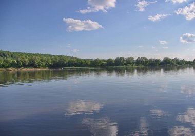 Moskova bölgesinin güneydoğusunda nehrin yaz manzarası
