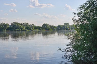 Moskova bölgesinin güneydoğusunda nehrin yaz manzarası