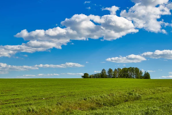 huzur yaz landscepe 2
