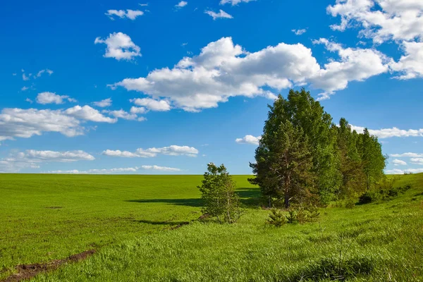 huzur yaz landscepe 2