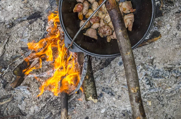 outdoor cooking forest lunch