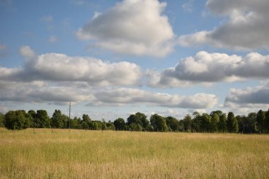 Kara bulutlar üzerinde bir kırpma alanı haddeleme