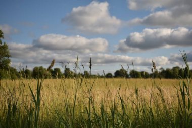 Kara bulutlar üzerinde kırpma alanı haddeleme