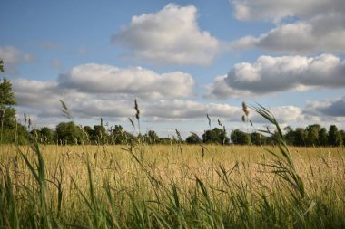 Kara bulutlar üzerinde kırpma alanı haddeleme