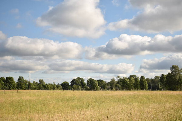 Темные облака катятся по полю.
